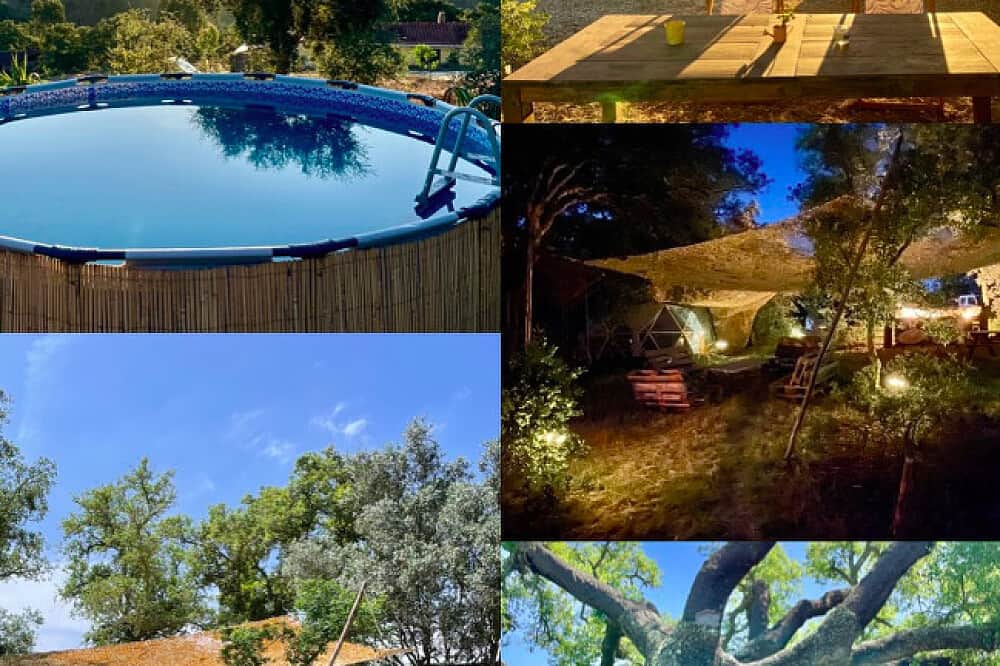 5 Day Shakti Healing Therapy in Portugal 6