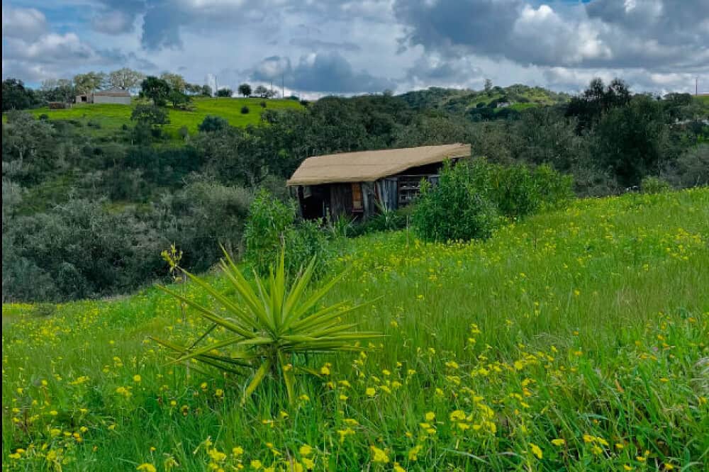 5 Day Shakti Healing Therapy in Portugal 8