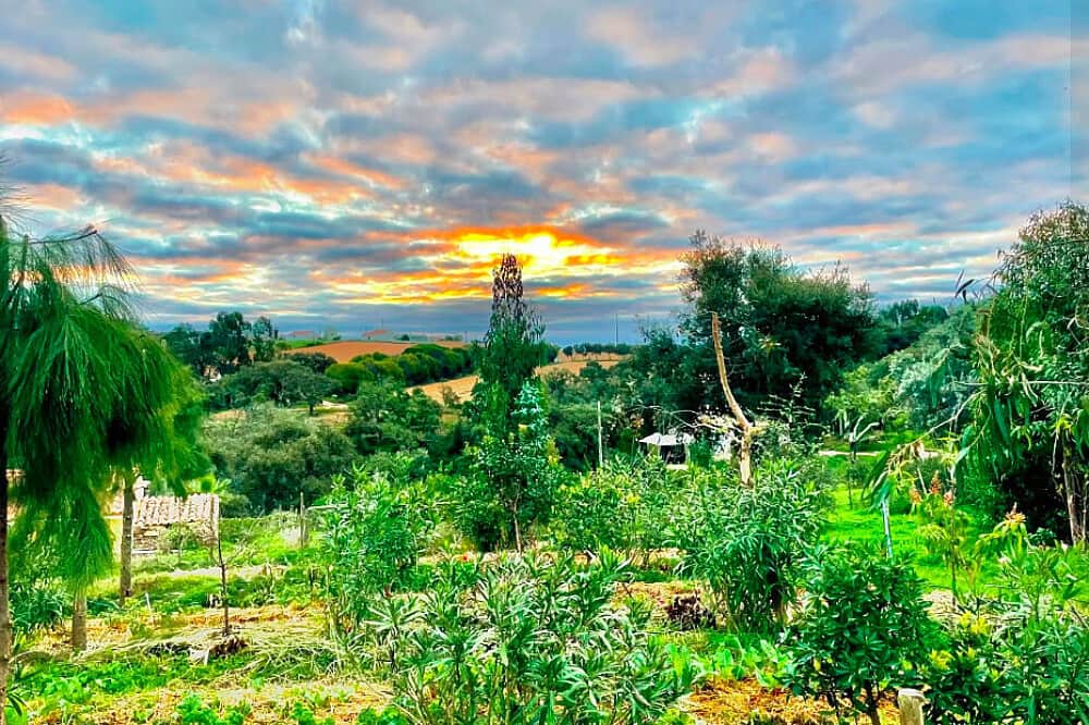 5 Day Shakti Healing Therapy in Portugal 1