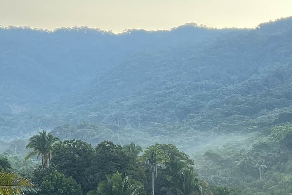 7 Day Las Brisas Zen Center 'Feel Your Flow Retreat" in Mexico 8