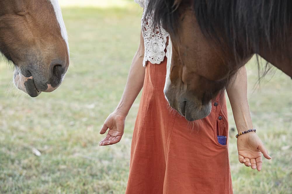 3 Day Healing with Horses & Wellness Retreat, Vic, Australia 6
