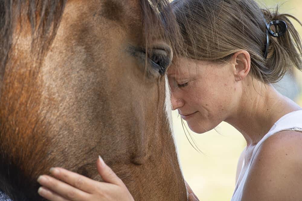 3 Day Healing with Horses & Wellness Retreat, Vic, Australia 5