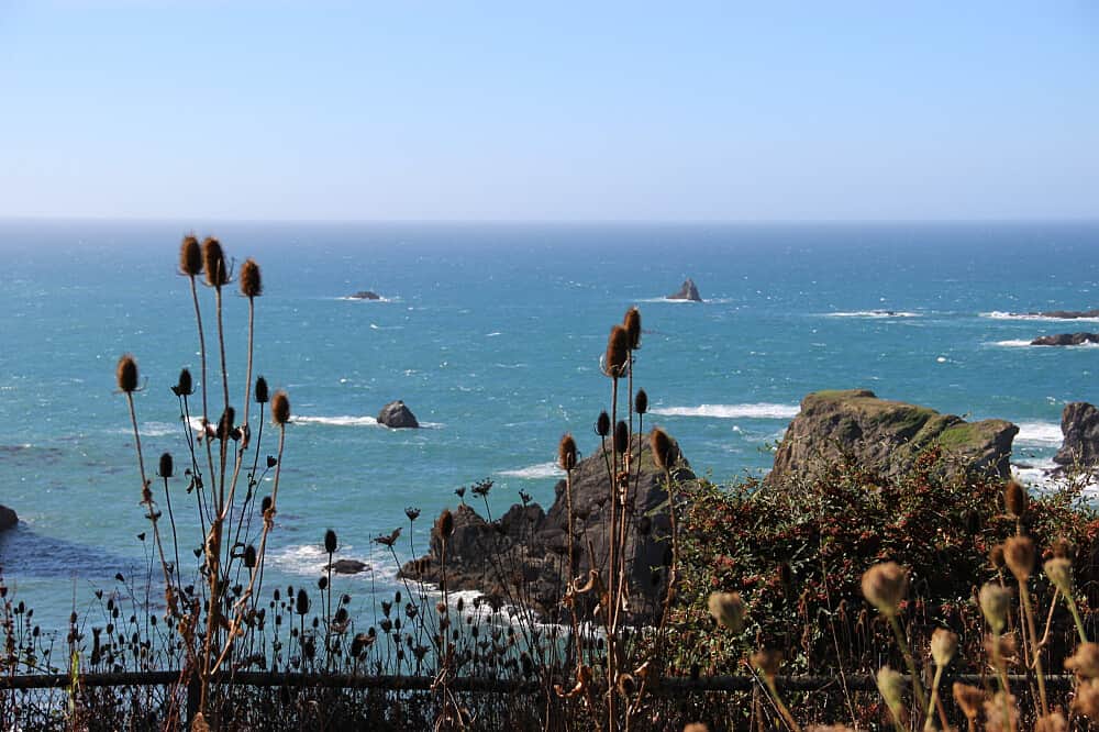 4 Day 'Sustainable Change" Women's Solo Coaching Retreat, OR, USA 5