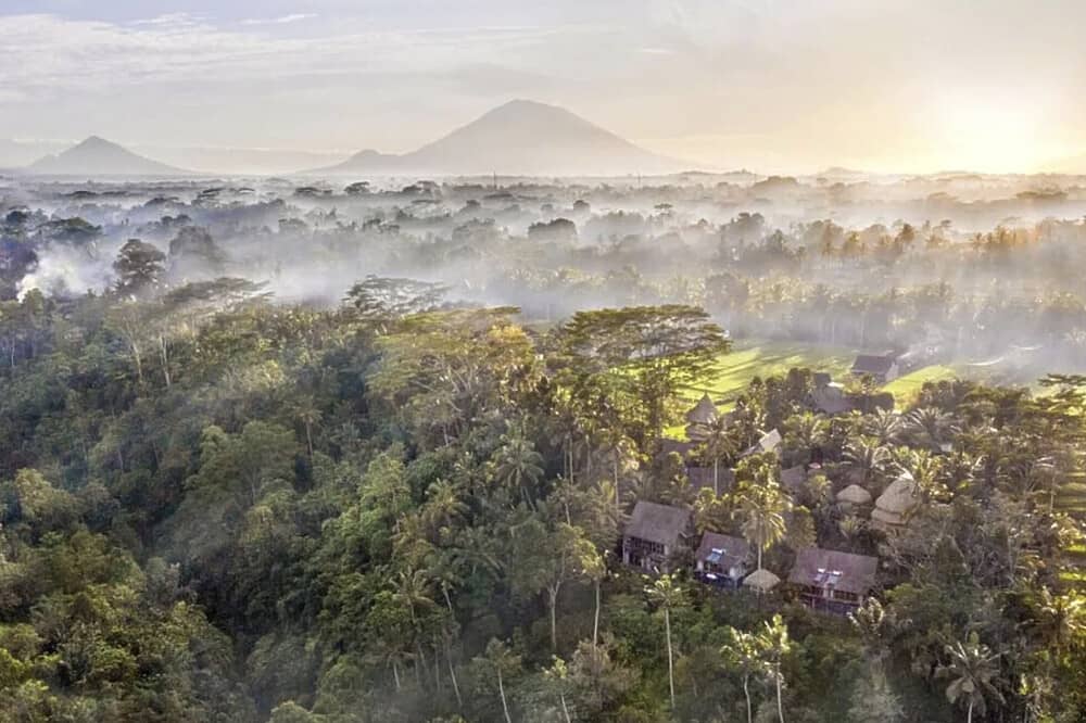 4 Day Purification Journey in Ubud, Bali