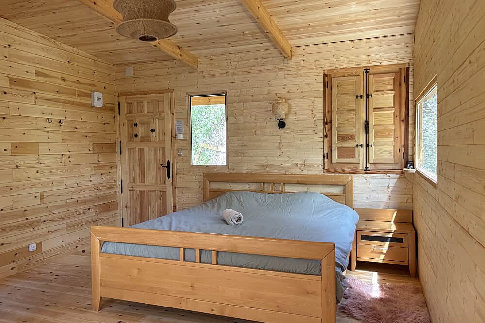 7 Day Back to The Source: 40 Hour YACEP Certified Course in Spain 2