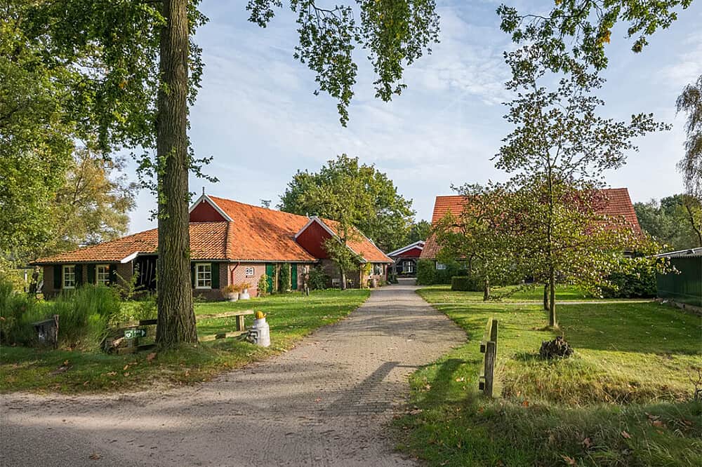 8 Day Mindful Silent Meditation + Yoga Retreat in The Netherlands 2