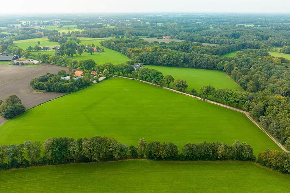 8 Day Mindful Silent Meditation + Yoga Retreat in The Netherlands 5