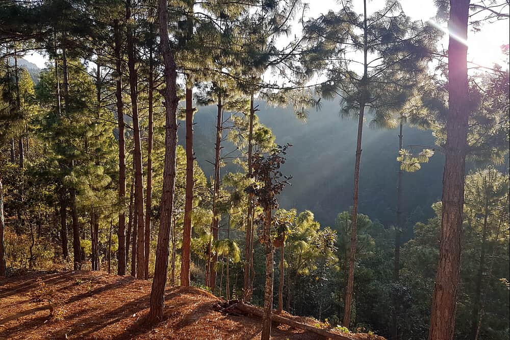 6 Day Darkroom Retreat Experience, Chiapas, Mexico 4