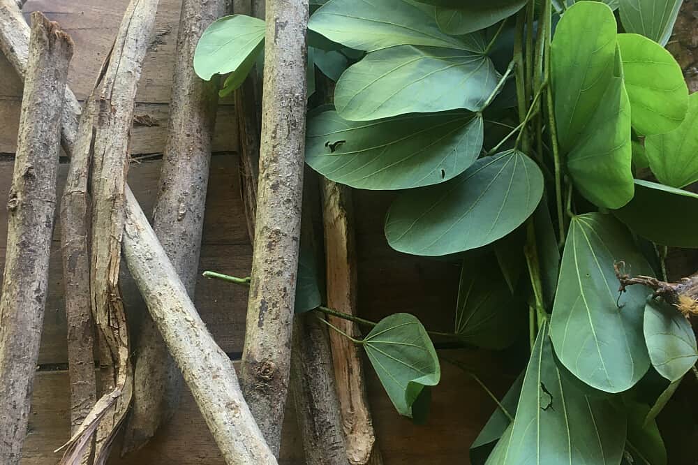 7 Day Rest, Recharge & Revitalize Private Retreat in Costa Rica 3