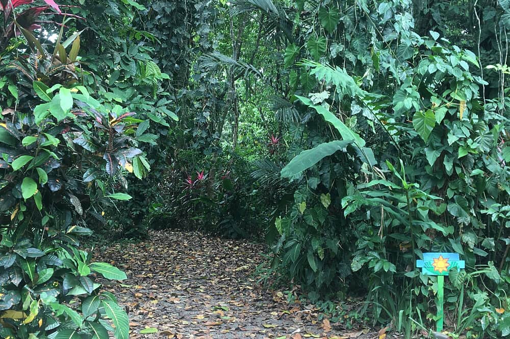 7 Day Rest, Recharge & Revitalize Private Retreat in Costa Rica 5