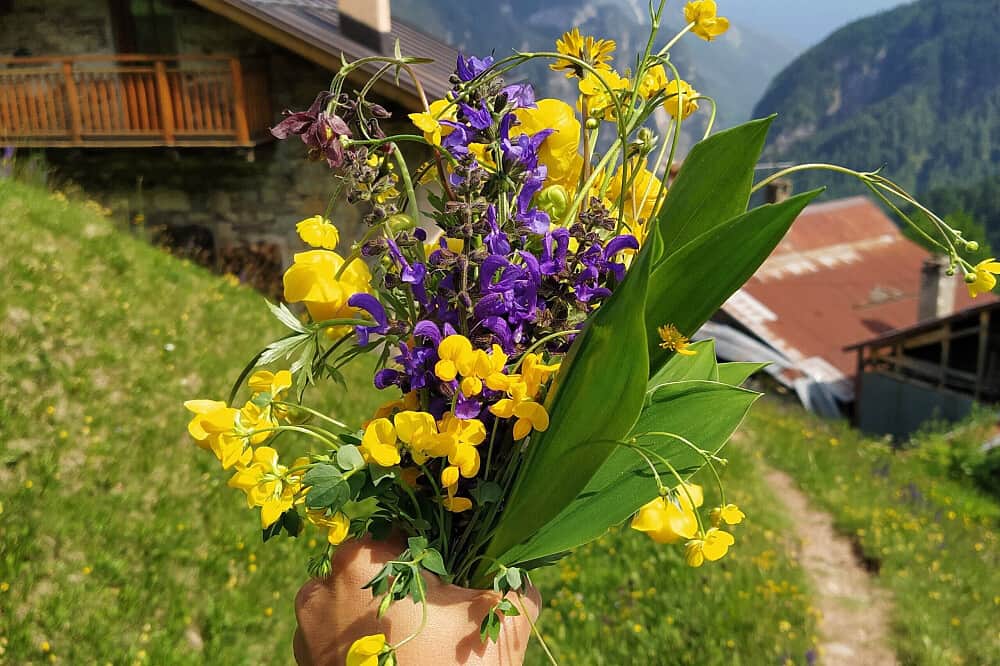 7 Day Trekking and Yoga in The Dolomites, Italy 8