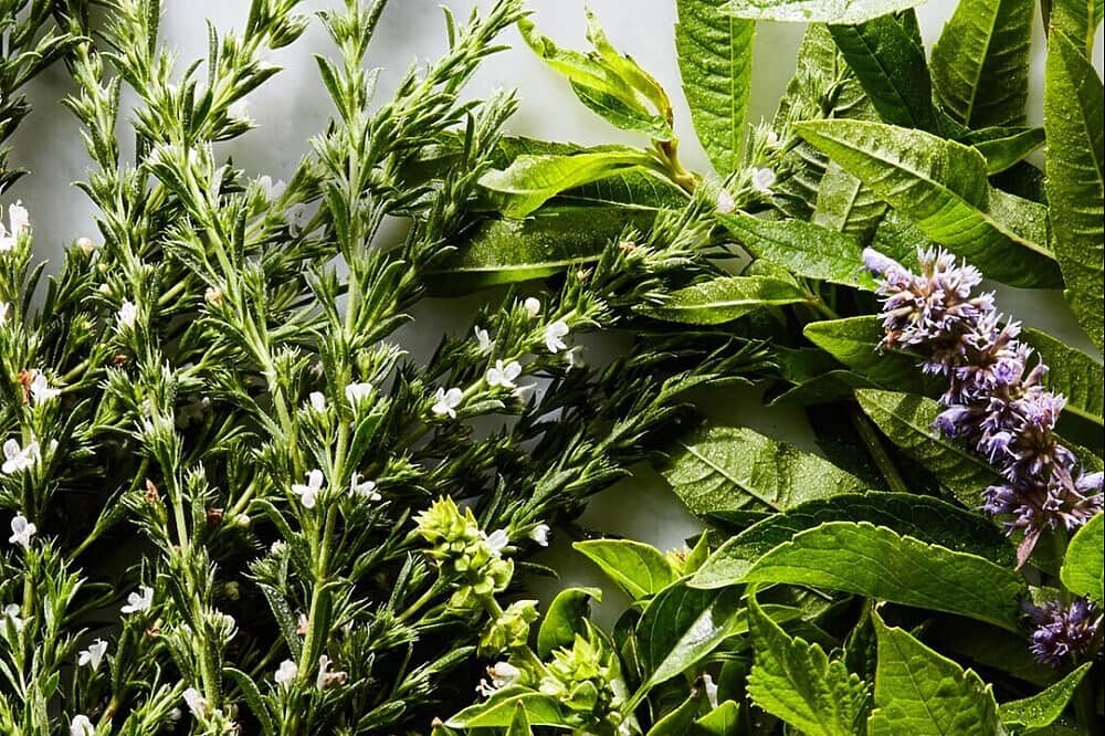 3 Day Personal Healing Retreat, Log Cabin Sanctuary Asheville, US 7