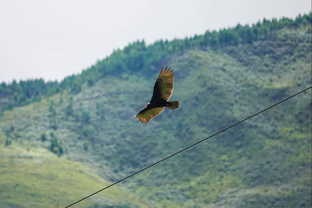 15 Day Luxurious Pampering & Exclusive Experience in Peru 8