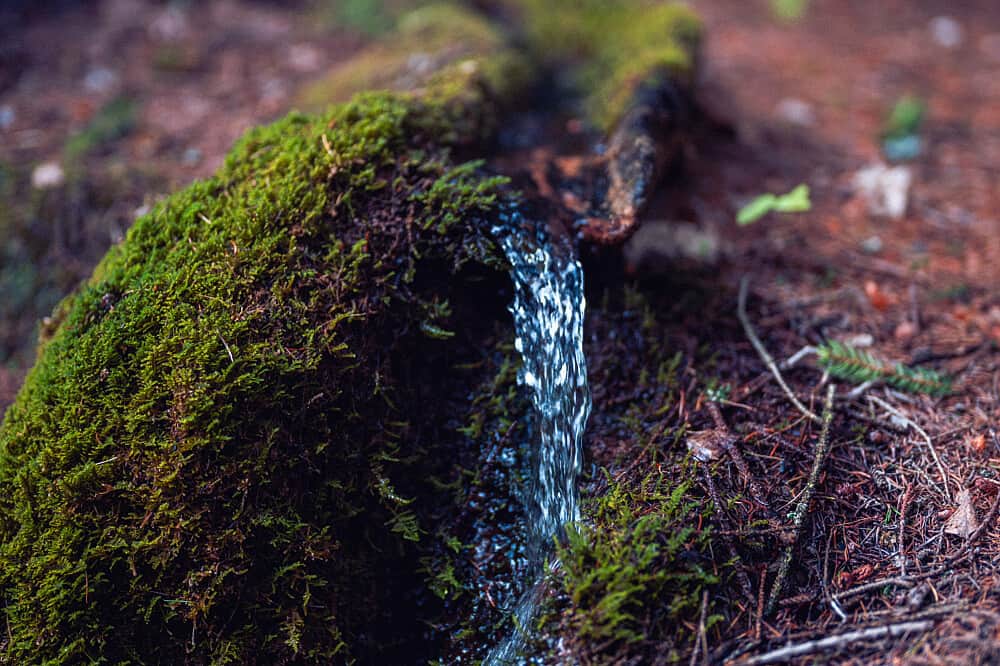 6 Day Mountain Magic Yoga & Hike Retreat, Nendaz, Switzerland 6