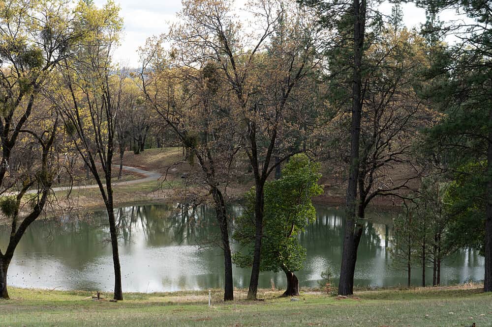 3 Day Personal Yoga Retreat, in Northern CA, USA 6