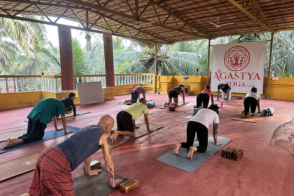 3 Day Agastya Mini Escape Yoga Retreat in Goa, India 4
