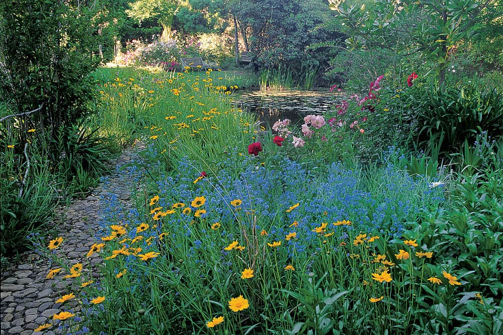 7 Day Adrenal Burnout Retreat in Greyton, South Africa 8