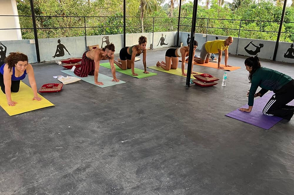 21 Day Rejuvenate Yoga Retreat in Kerala, India