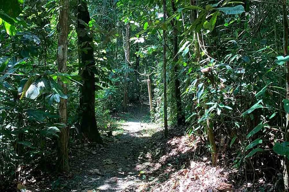 4 Day Retreat Leader Enrichment Summit in Costa Rica 6