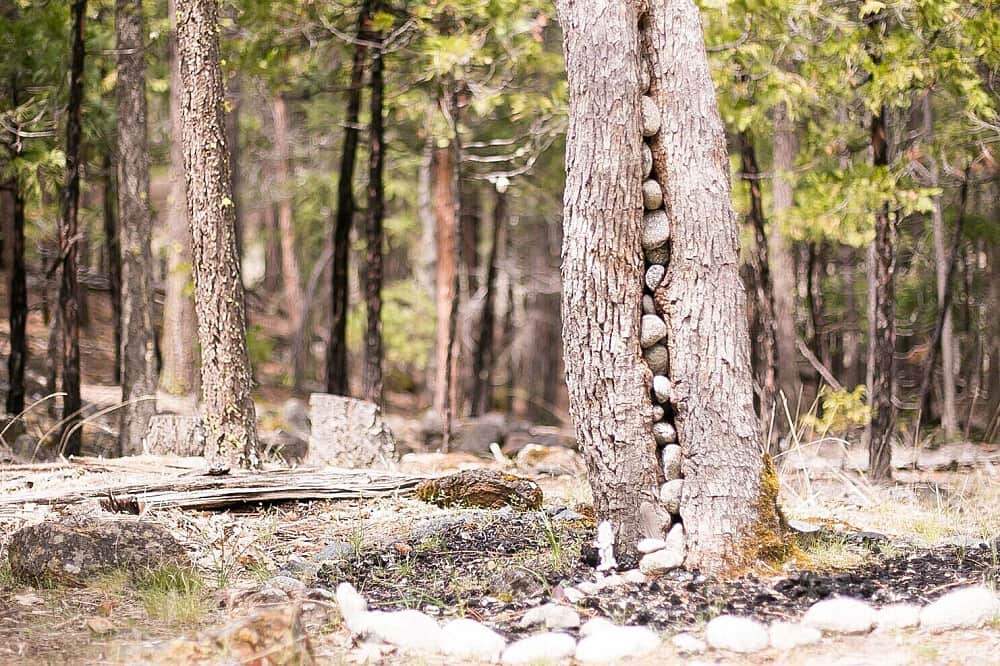 7 Day Solo Nature Sabbatical in Mt.Shasta, California, US 8