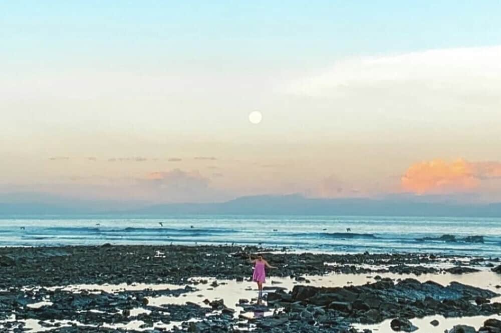 21 Day Plant-Based Culinary Arts Course in Portugal 7