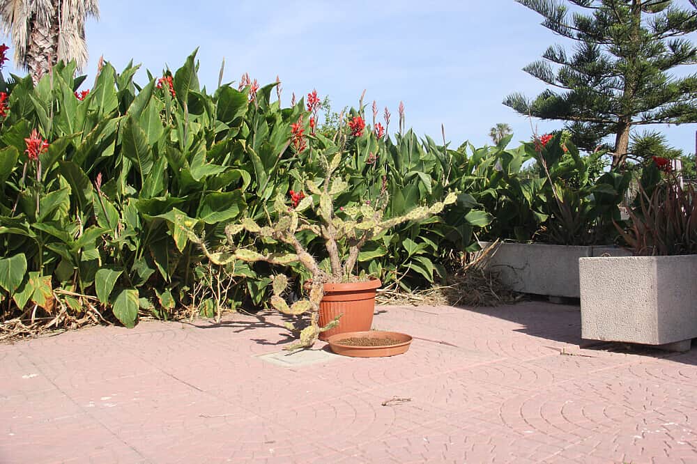 3 Day Systemic Constellations For Emotional Healing in Spain 8