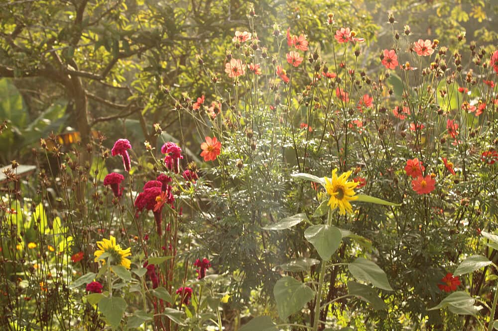 30 Day Spanish in the Wild: Language and Nature in Costa Rica 8