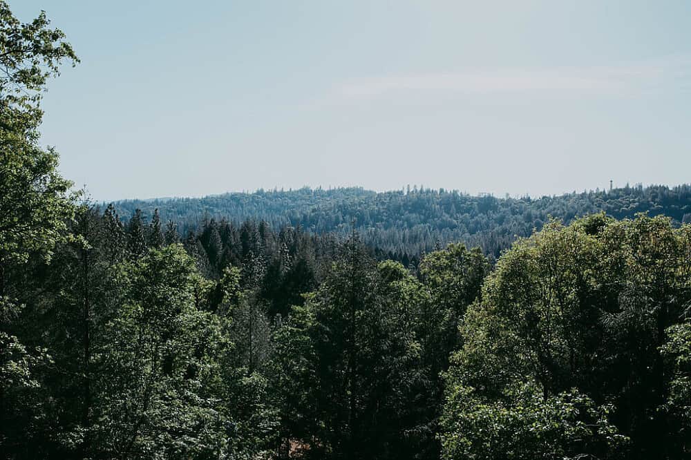 3 Day Private Silent Mountain Forest Retreat in CA, US 2