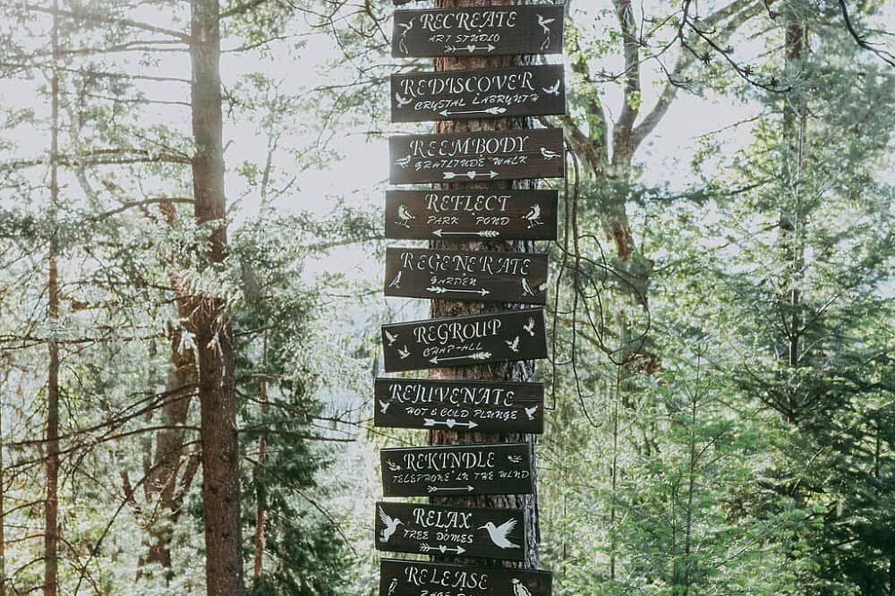 3 Day Private Silent Mountain Forest Retreat in CA, US 3