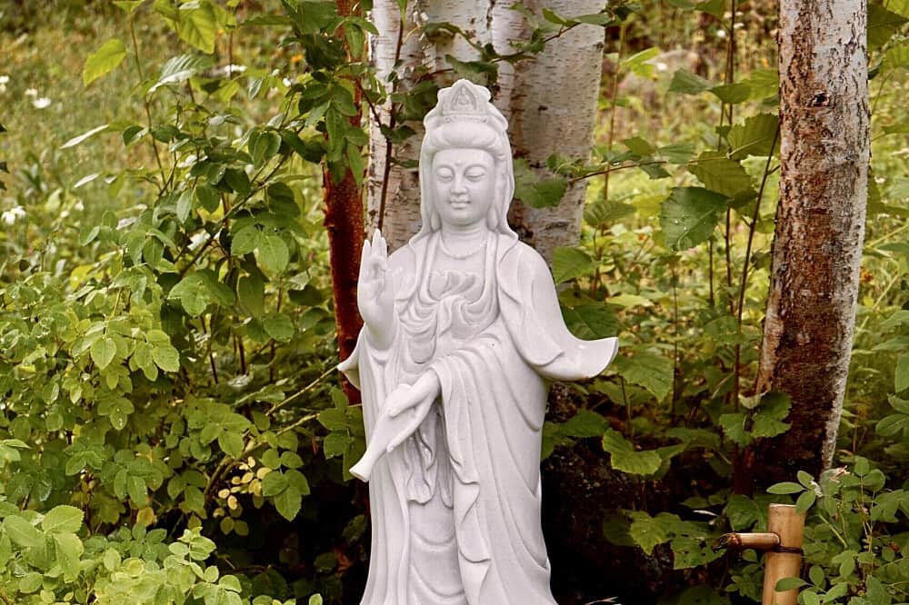 4 Day Rooted In Nature Retreat Retreat in BC, Canada 5