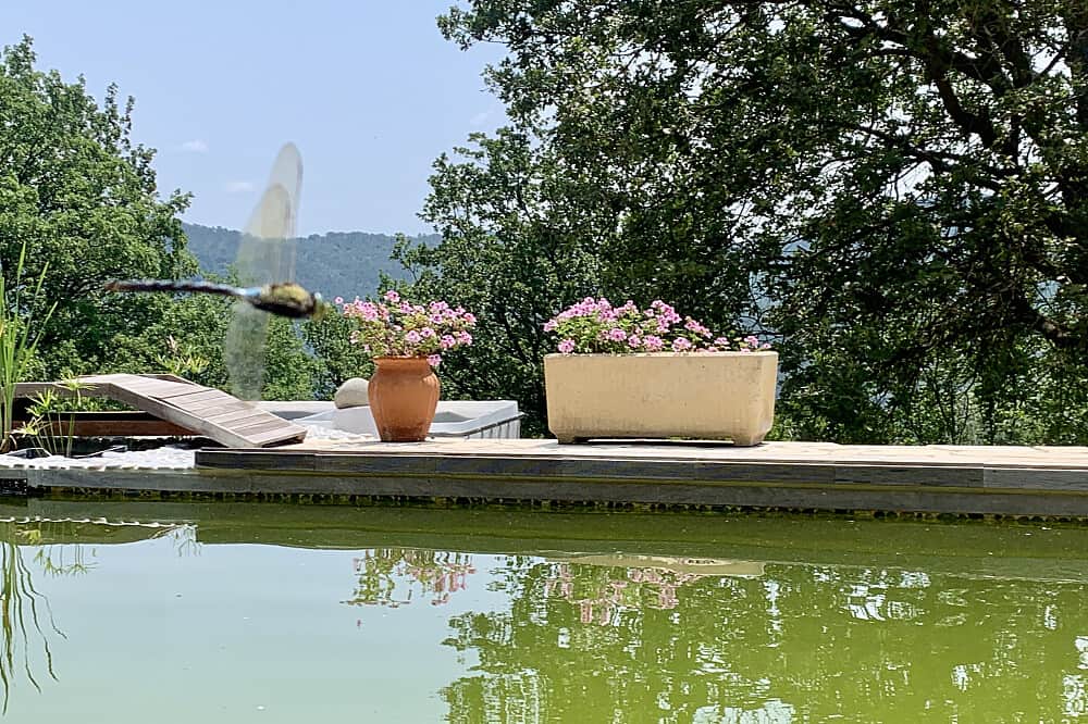 8 Day 6 SENSES Retreat in Bargemon, Provence, France 3