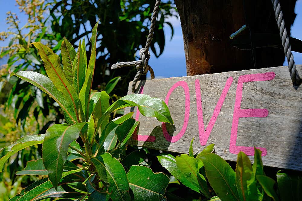 10 Day Retreat For Therapists, Psychologists, Coaches, Tenerife 8