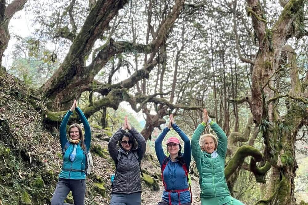 7 Day Himalayan Harmony: A Yoga & Wellness Mardi Himal Trek Nepal 3