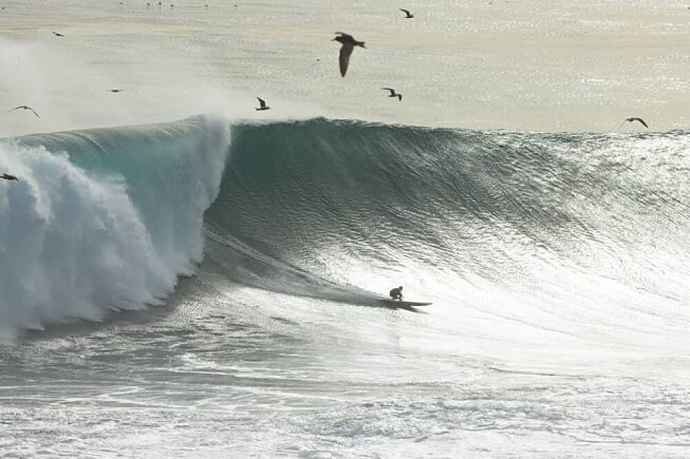 6 Day 'Good Waves & Good Vibes' Surf Camp, Punta De Lobos, Chile 6