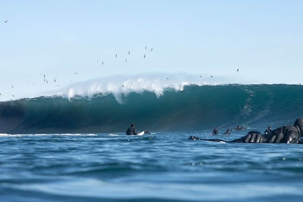 6 Day 'Good Waves & Good Vibes' Surf Camp, Punta De Lobos, Chile 3