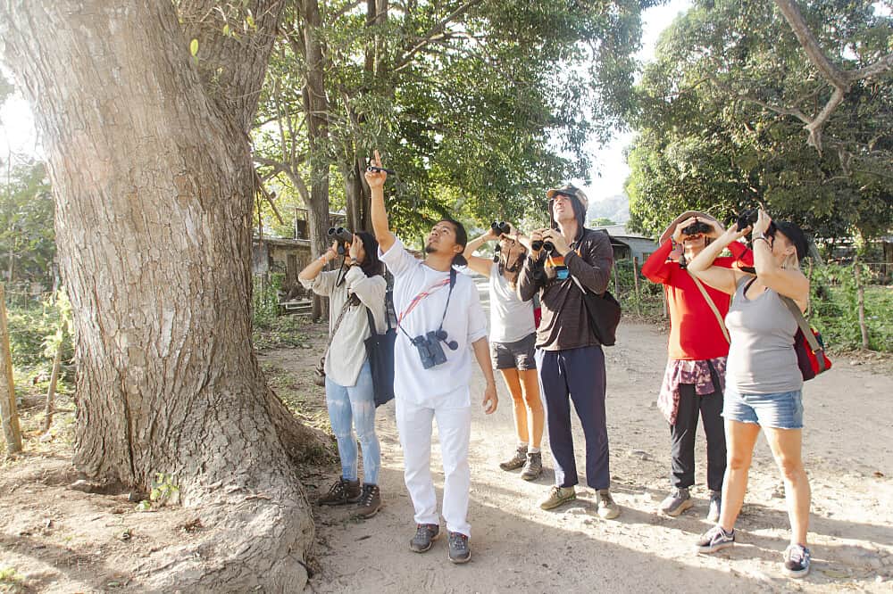 7 Day Awake Inner Wisdom: Plant Healing Retreat in Colombia 5