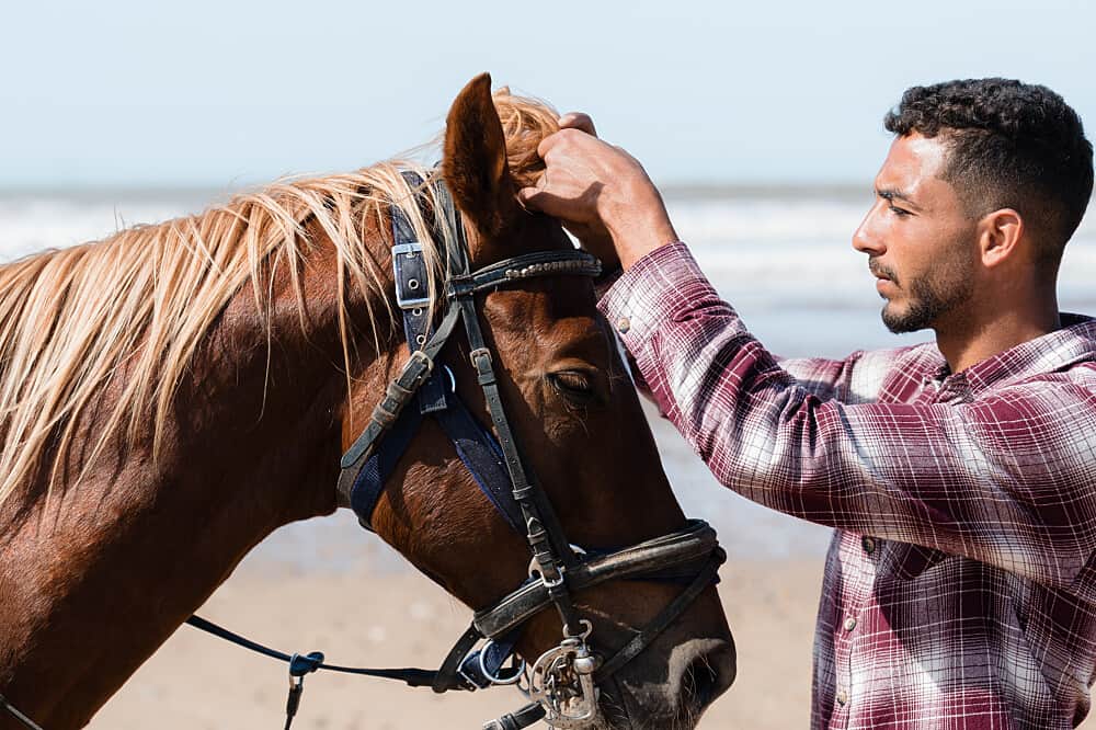 3 Day Photography & Riding Retreat in Marrakesh-Safi, Morocco 2