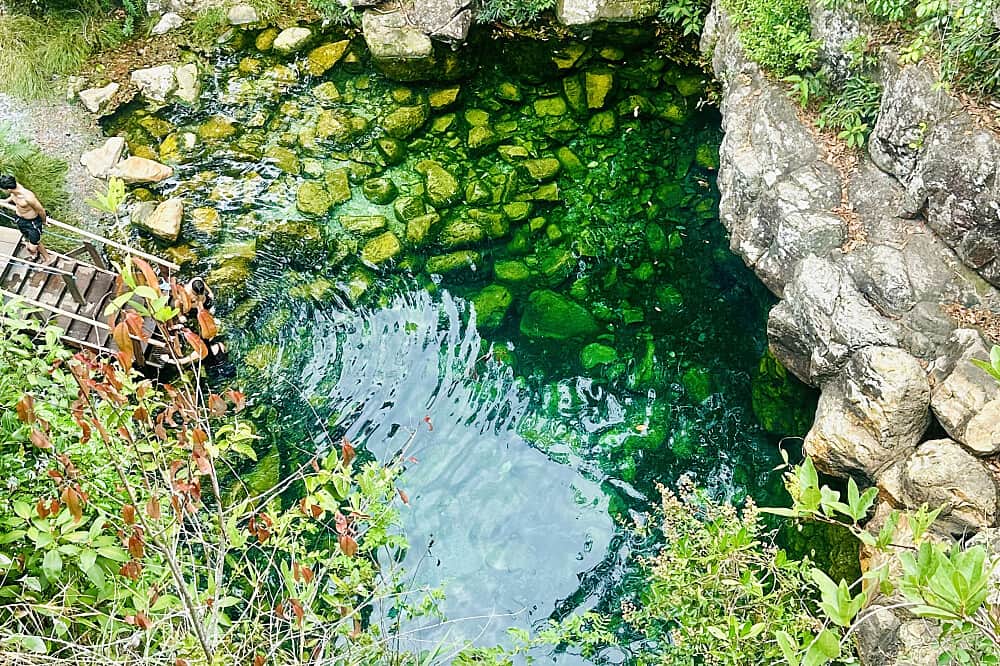 14 Day Ayahuasca, Mushrooms, Peyote, Kambo Retreat, Brazil 5