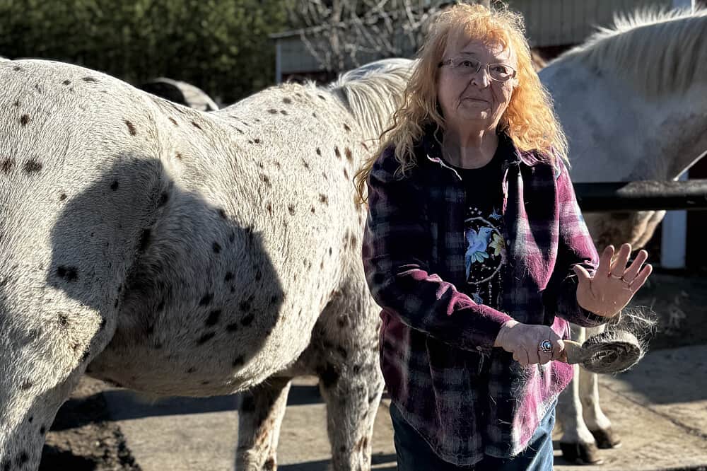 3 Day Awakening Your Inner Power with Horses in WA, USA 7