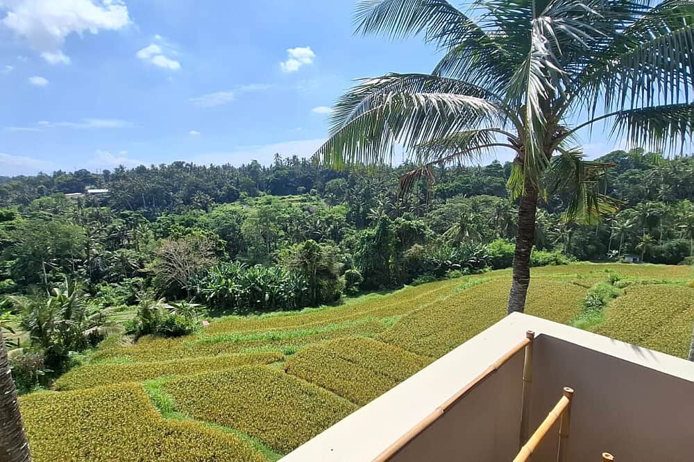 4 Day Shamanic Healing Package in Ubud, Bali 8