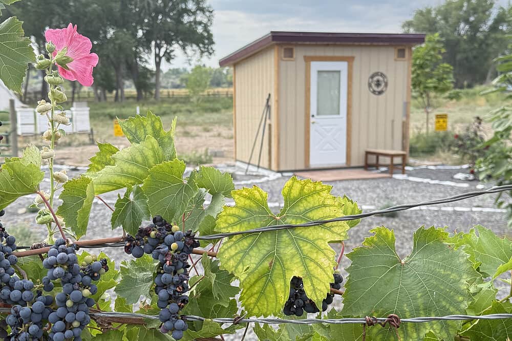 3 Day Sacred Bee Medicine Retreat in Colorado, US 4