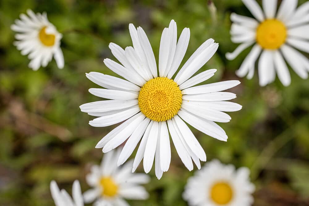 3 Day Wild Atlantic Island Reset Retreat in Galway, Ireland 8