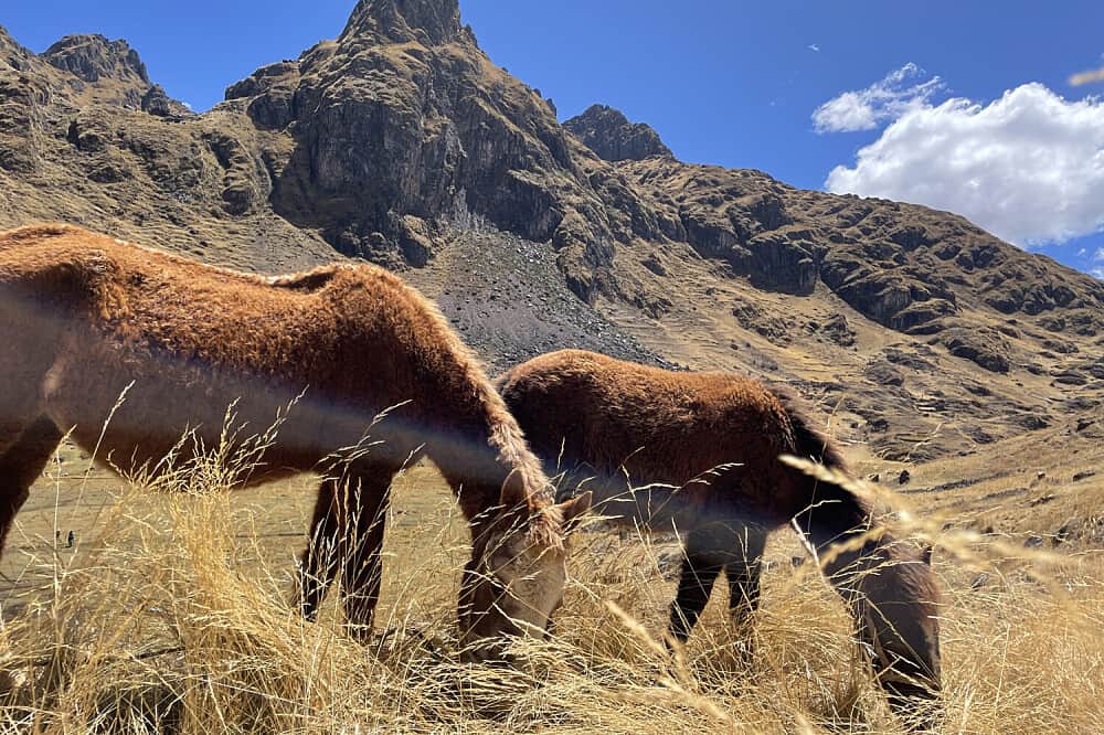 9 Day The Loving Ground: A Private Couple's Retreat in Peru 5