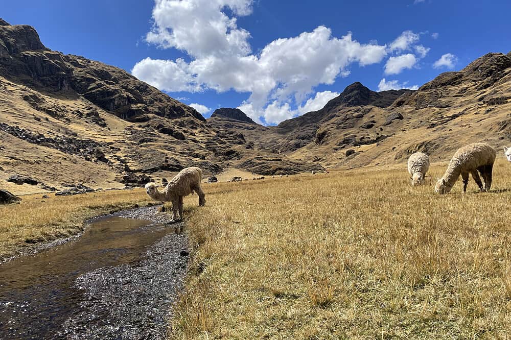 9 Day The Loving Ground: A Private Couple's Retreat in Peru 4