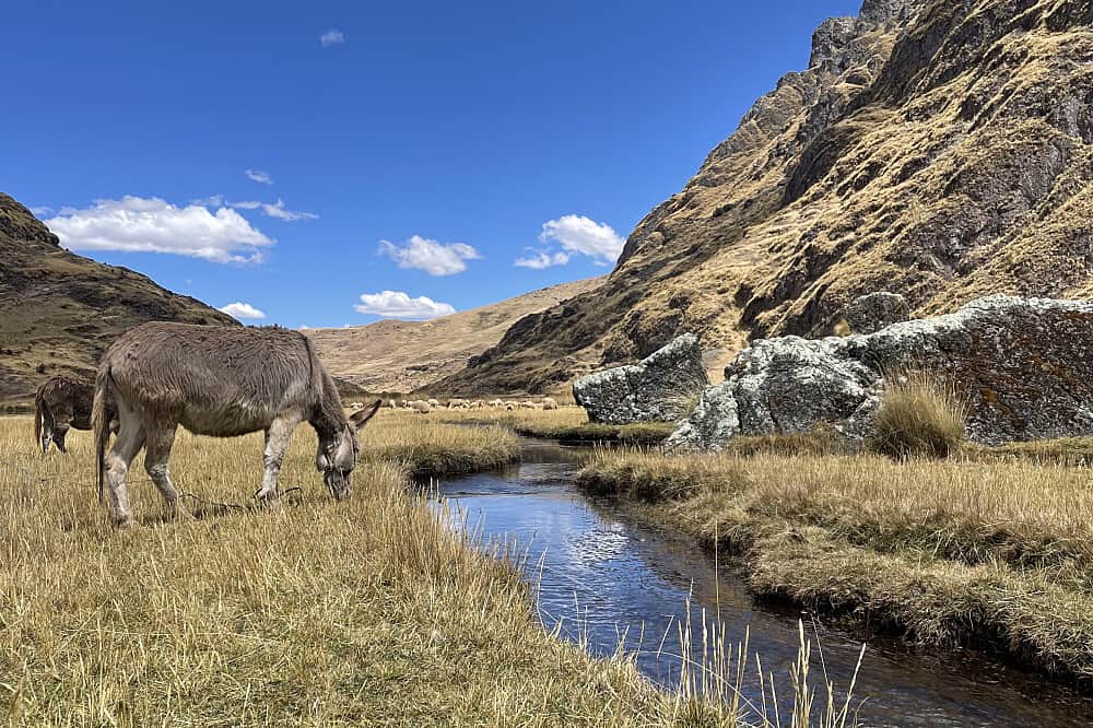 9 Day The Loving Ground: A Private Couple's Retreat in Peru 6