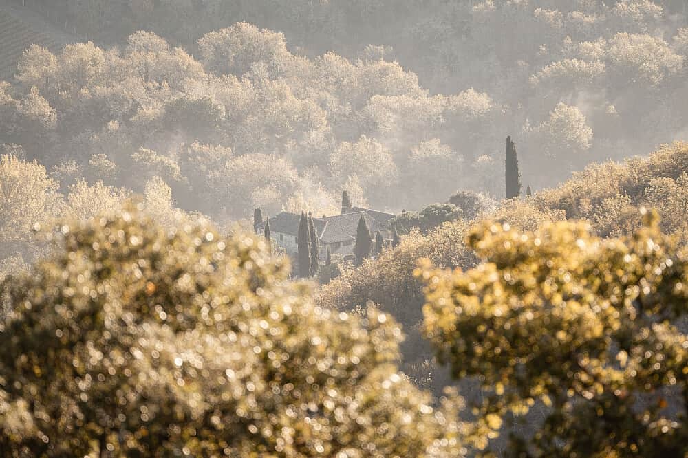 4 Day Inner Alchemy: Women's Spiritual Wellness Retreat in Italy 7