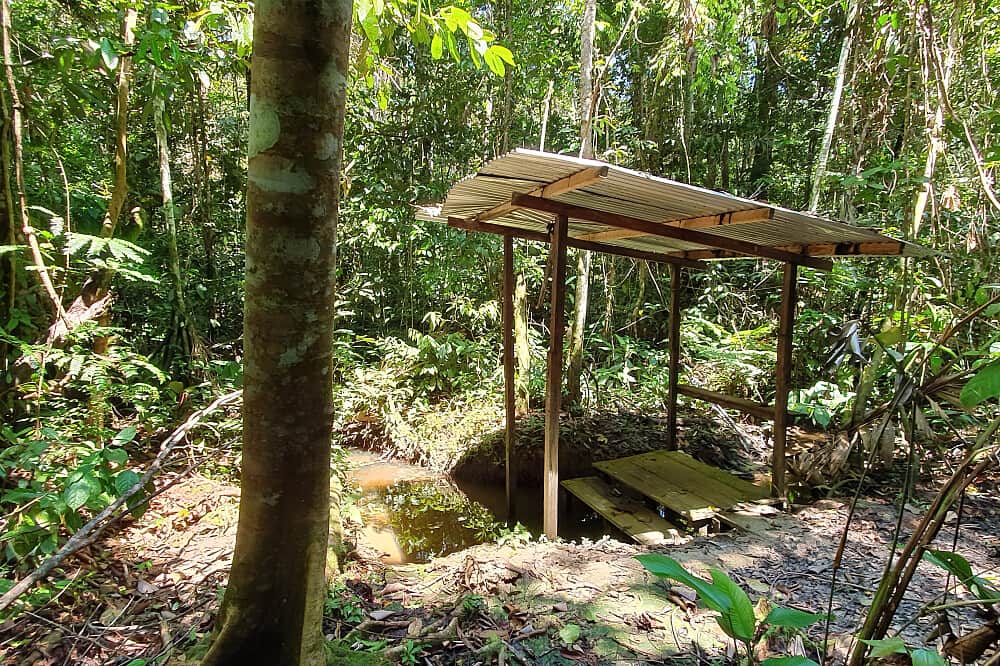 14 Day Ayahuasca Retreat with Individual Guidance, Iquitos, Peru 5