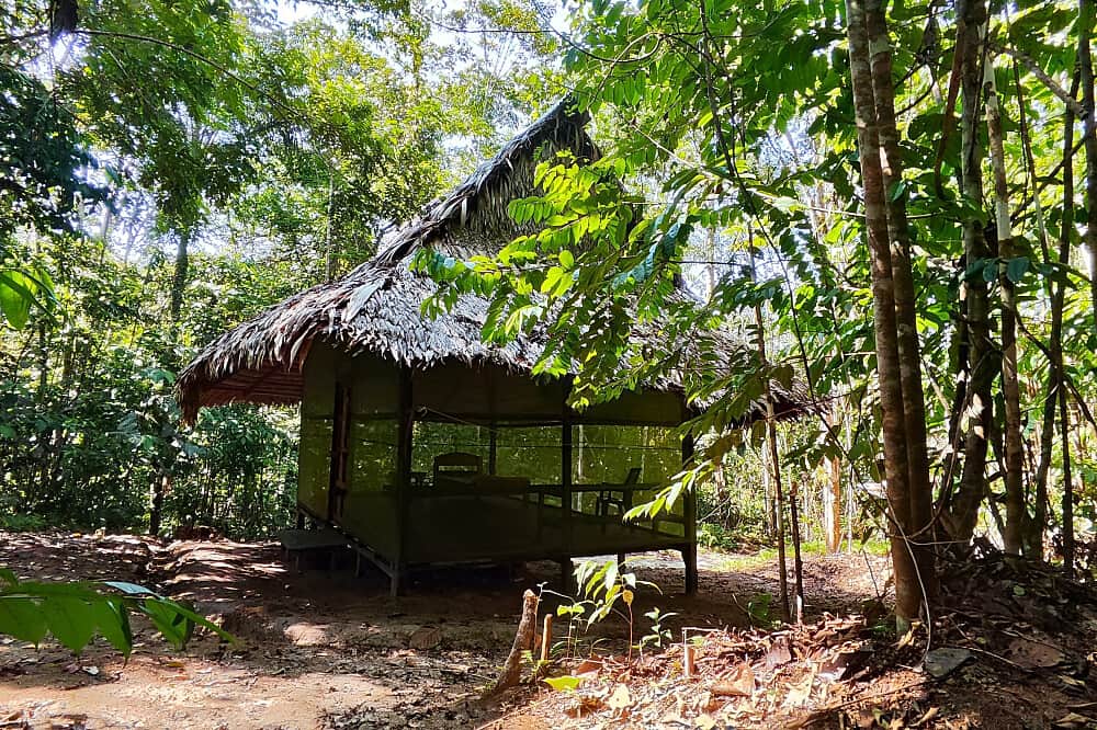14 Day Ayahuasca Retreat with Individual Guidance, Iquitos, Peru 6