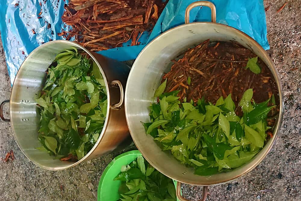 14 Day Ayahuasca Retreat with Individual Guidance, Iquitos, Peru 7
