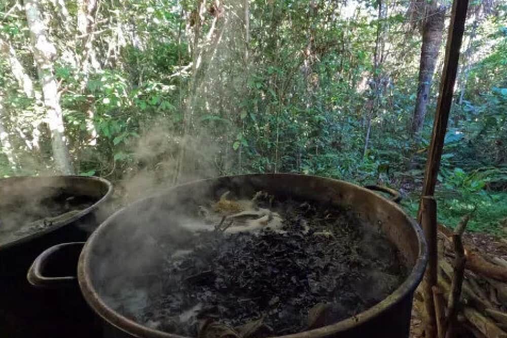 14 Day Ayahuasca Retreat with Individual Guidance, Iquitos, Peru 4